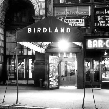 birdland1.jpg