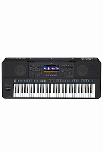 PSR-SX920
