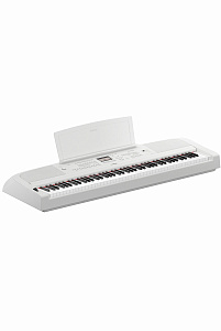 DGX-670 WH