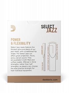 Select Jazz Unfiled 1