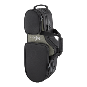 Pro-One AS6200VLQ 10
