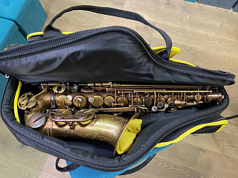 Чехол для альт саксофона Master Alto Pixel 02  4