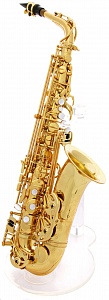 Pro-One AS6200VLQ 11